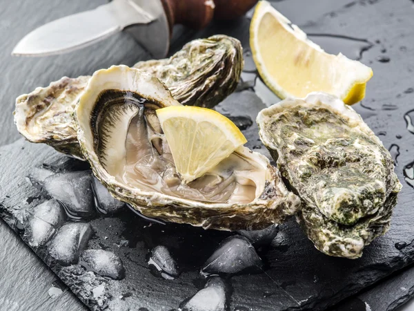 Shucked raw oysters